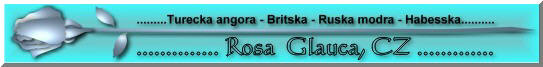 Banner chovatelske stanice Rosa Glauca : Turecka angora, Britska stribrita, Habesska, Ruska modra