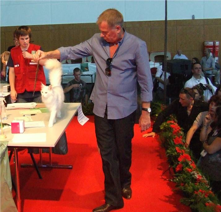 Ornella pri vyberu do Best in Show