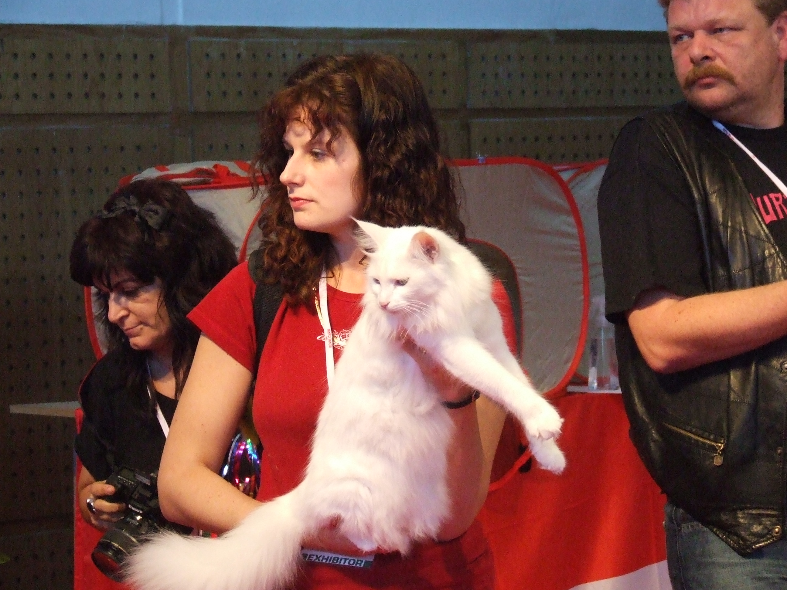 Ornella pro vyberu do BIS